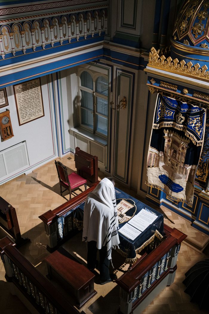 A person reads from the Torah in an ornate synagogue, featuring beautiful decor and spiritual ambiance.